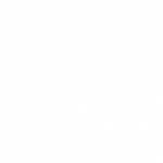 DENGUE DENGUE