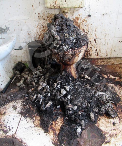 feces fezes