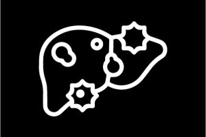 04 04