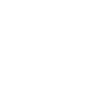 5 5