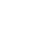 VEHICLES FOR TRANSPORTING THE PATIENT VEÍCULOS TRANSPORTE DOENTES