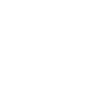 5 5