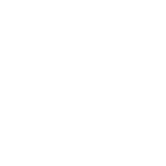 VEHICLES-TRANSPORT-PATIENTS VEICULOS-TRANSPORTE-DOENTES